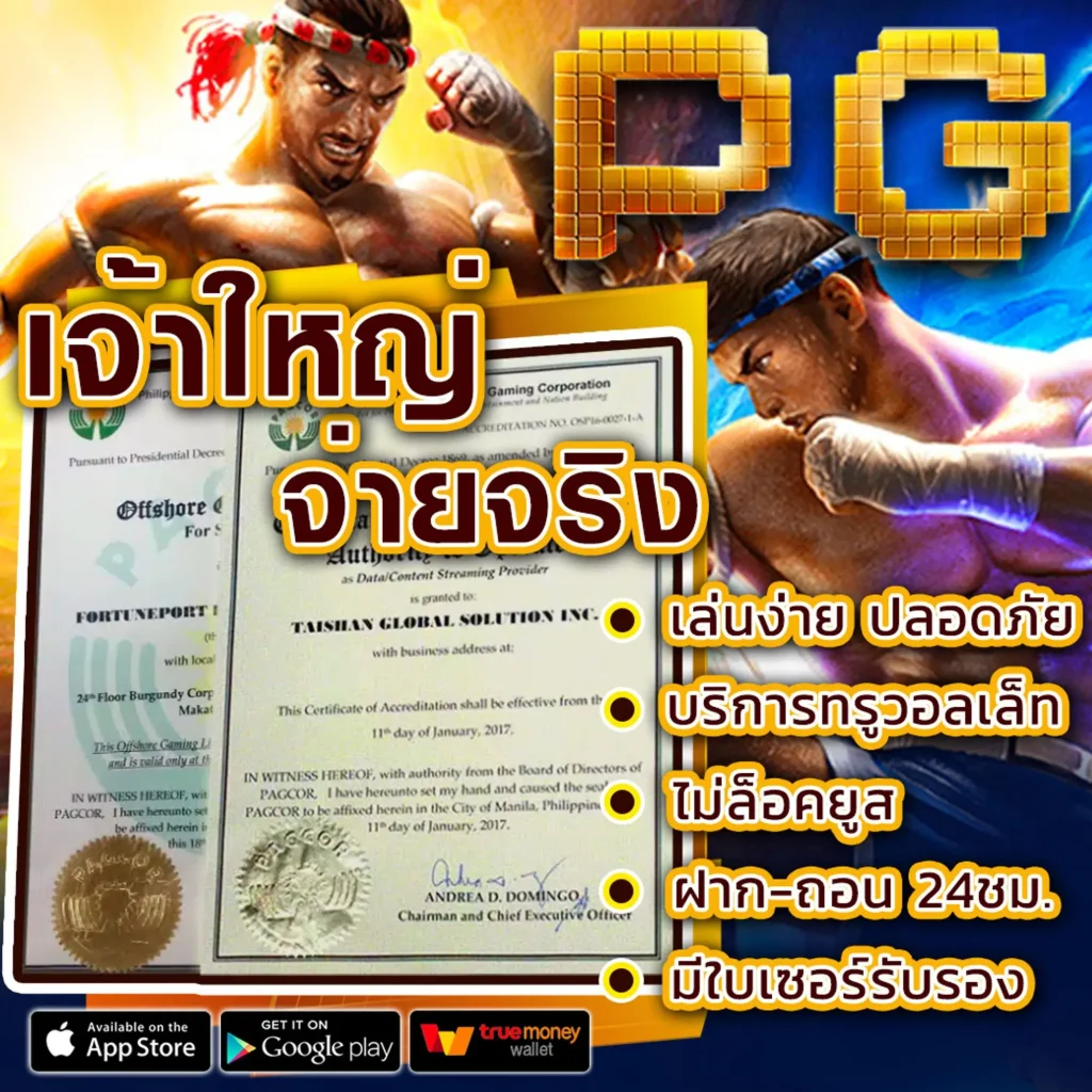 huayvip-98